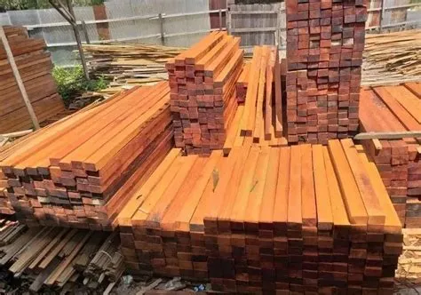 kayu kalimantan tahan rayap