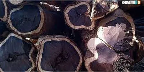 kayu kalimantan warna hitam