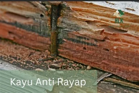 Jenis kayu apa yang tidak disukai rayap Rahasia Jenis