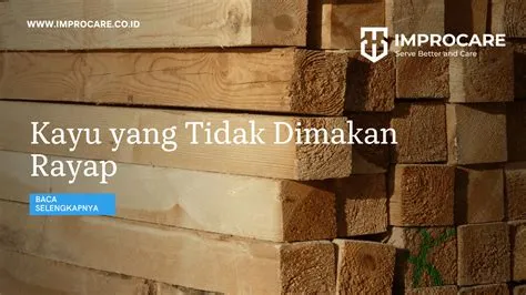 Kayu-apa-saja-yang-tidak-dimakan-rayap-Jenis-Kayu Kayu apa saja yang tidak dimakan rayap Jenis Kayu