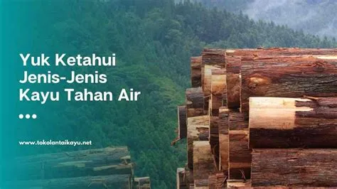 Kayu-apa-yang-tahan-air-dan-rayap-Pilihan-Kayu Kayu apa yang tahan air dan rayap Pilihan Kayu