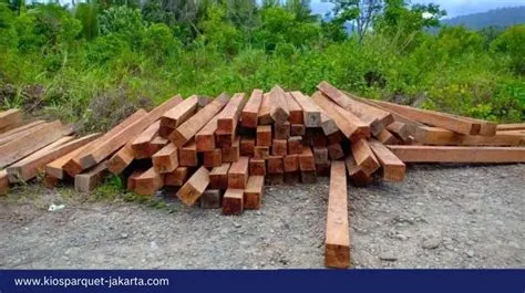 Kayu murah kayu apa Jenis Kayu