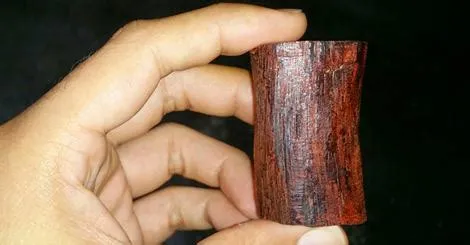 kayu menang kalimantan