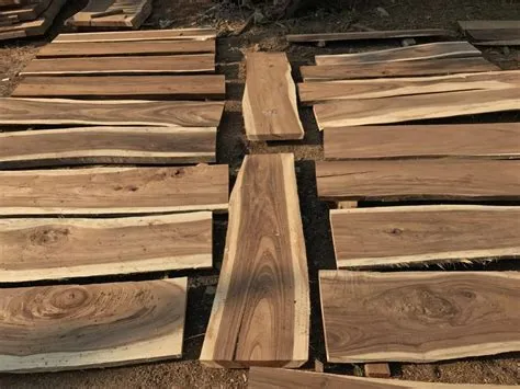 kayu meranti kayu hitam trembesi dan rotan banyak tersebar di