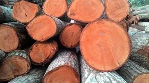 kayu meranti termasuk kayu kelas berapa