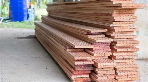 kayu rajawali kalimantan
