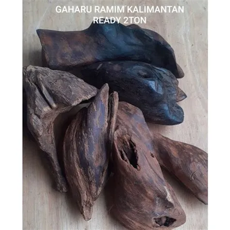 kayu ramin kalimantan