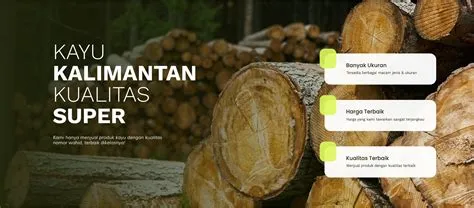 kayu rc kalimantan