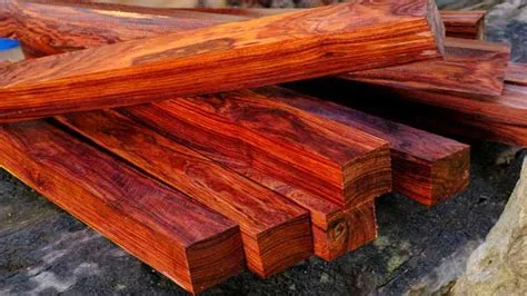 kayu rengas kalimantan