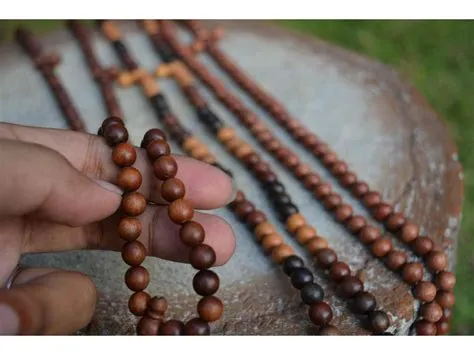 kayu stigi kalimantan