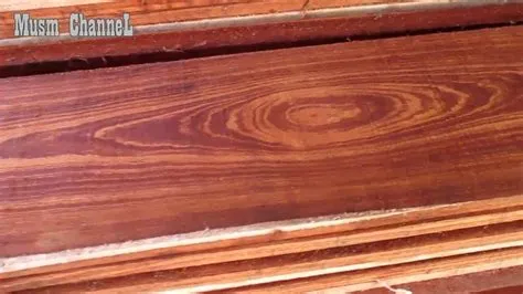 kayu sumpung kalimantan