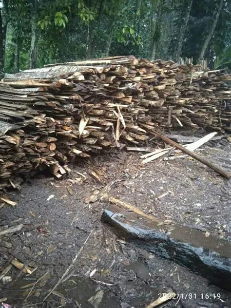 jual beli kayu bakar jakarta Jual Beli