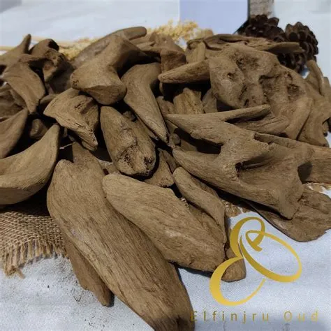 jual kayu gaharu jakarta Jual Kayu