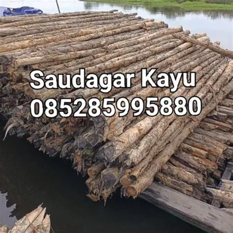 jual kayu gelam jakarta Jual Kayu 2
