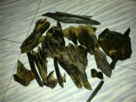 tempat jual kayu gaharu di jakarta Cari Kayu