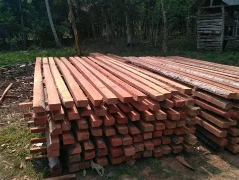 harga kayu glugu 3m Harga Kayu