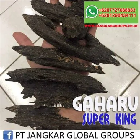 hrga kuy gaharu super klas 1 brp hrganya Harga Gaharu