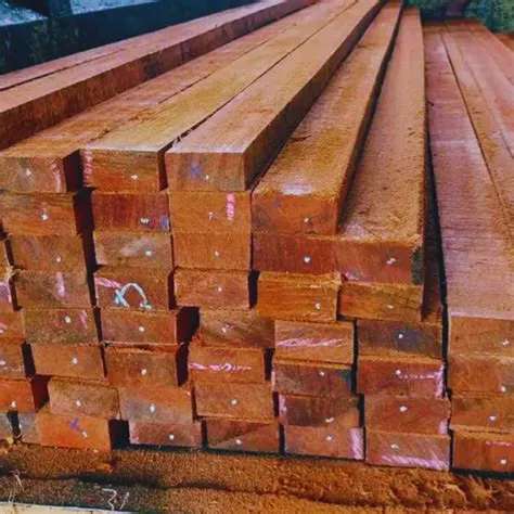 kayu 5 10 Panduan Lengkap