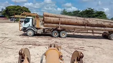 loging kayu kalimantan Logging Kayu